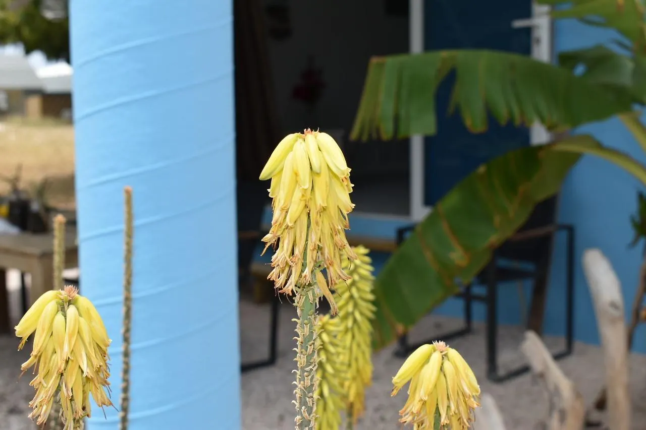 Santa CatharinaTropical Breeze 