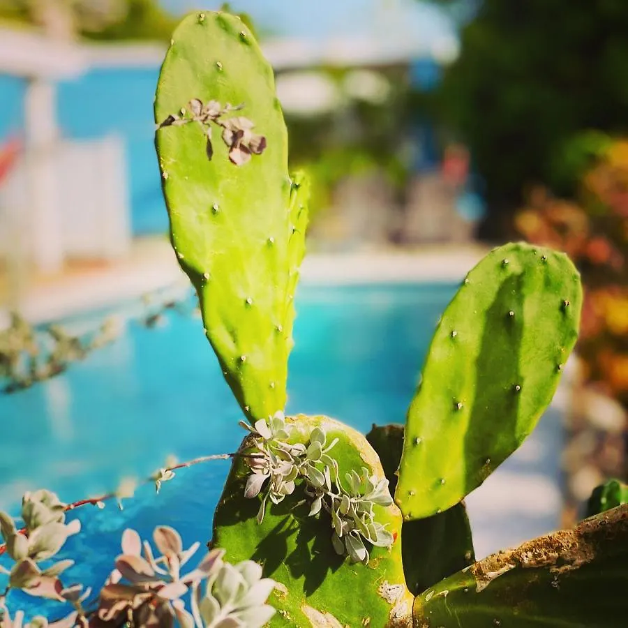 Apartamento Tropical Breeze 