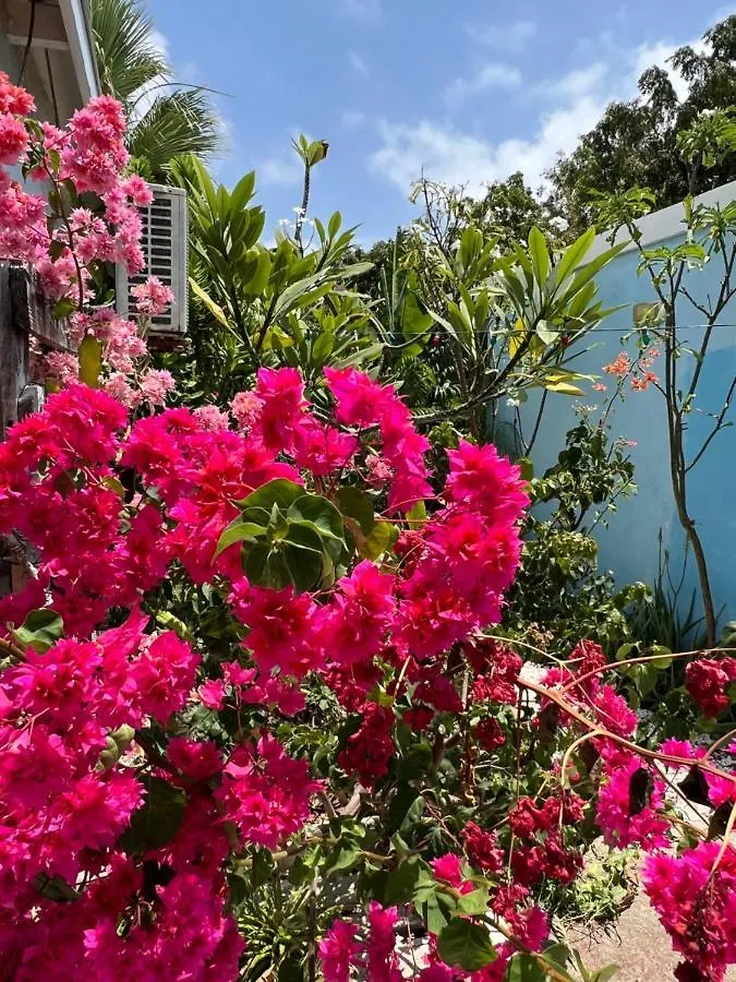 Apartamento Tropical Breeze 