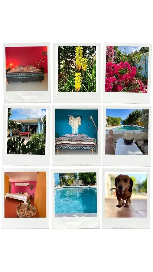 Apartamento Tropical Breeze 