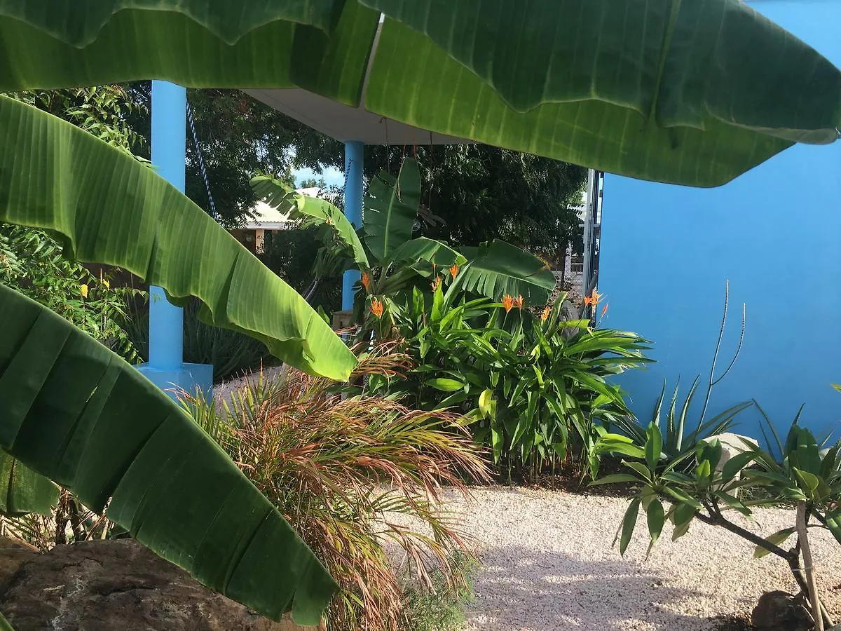 Apartamento Tropical Breeze 
