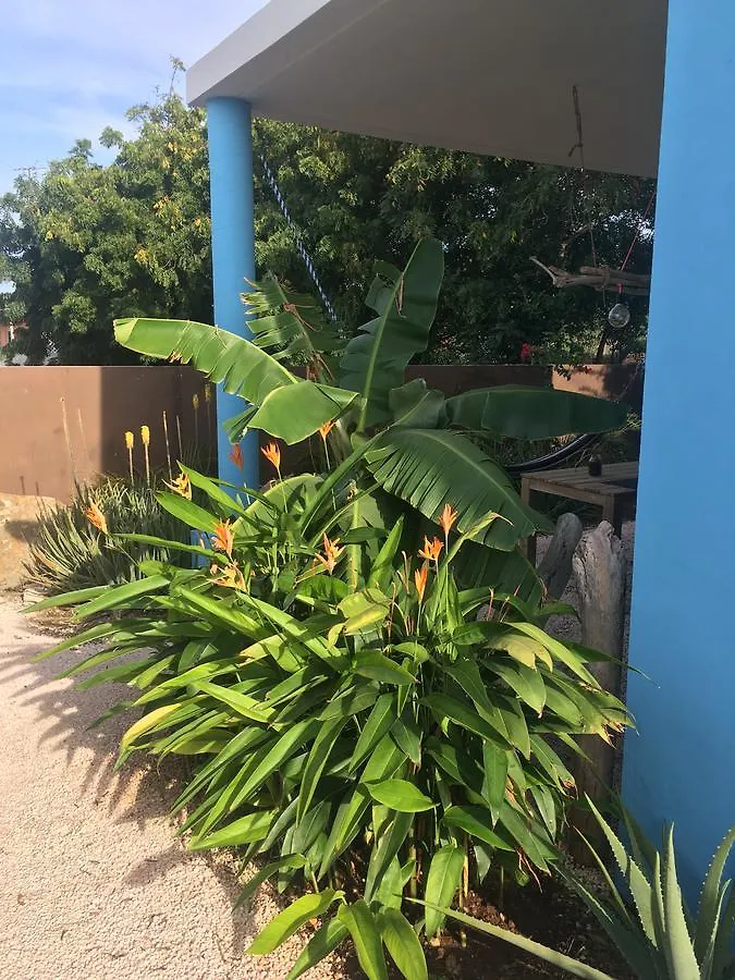 Tropical Breeze 